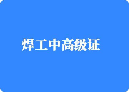 我逼逼被他大鸡巴操爽啦视频焊工中高级证